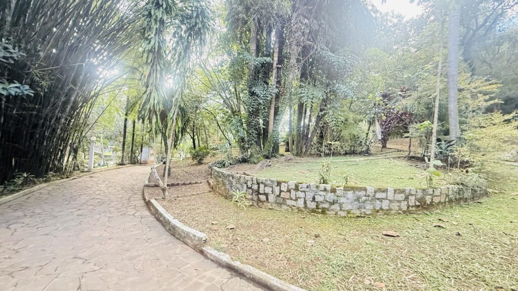 Bosque com caminhos internos entre bambus e árvores